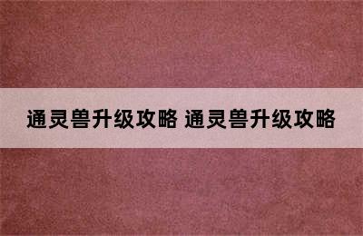 通灵兽升级攻略 通灵兽升级攻略